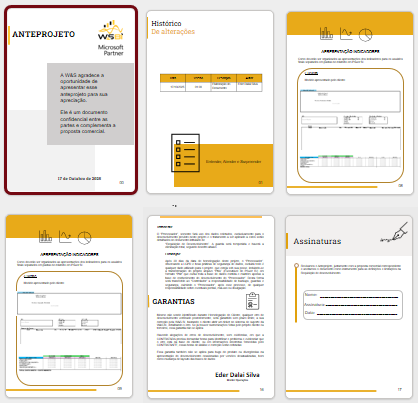 Anteprojeto de BI - Documento de metodologia W&S
