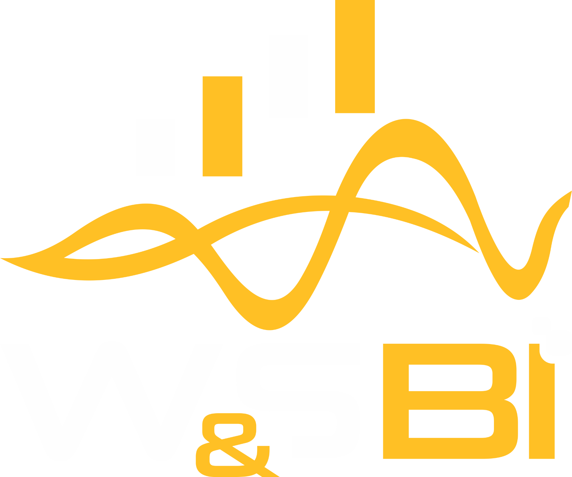 W&S BI - Empresa de Business Intelligence e criadora do BI SaaS